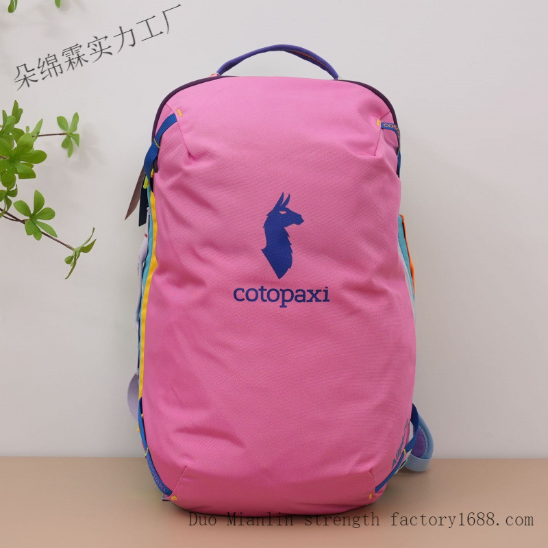 Waterproof Color Block Backpac - Women Bags Large 评论和价格