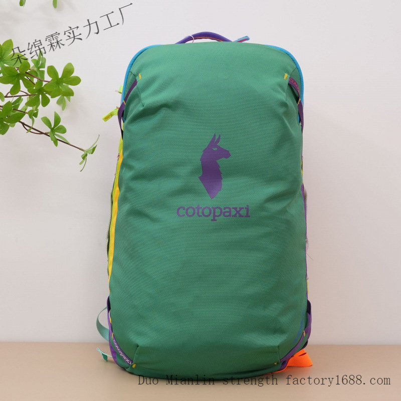 Waterproof Color Block Backpac - Women Bags Large 评论和价格